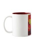 Hibiscus Macro mug