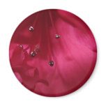 Hibiscus Magnet