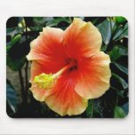 Hibiscus mouse pad