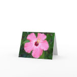 Hibiscus - N cards