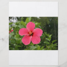 Hibiscus Personalized Flyer