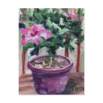 Hibiscus Postcard