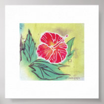 Hibiscus
