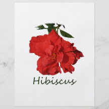 Hibiscus Red Flower With Text Flyer Design
