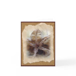 Hibiscus Seed Pod #1 Note Card