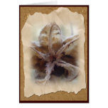 Hibiscus Seed Pod #1 Note Card