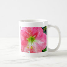 Hibiscus-Upclose Coffee Mugs