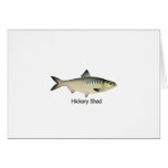 Hickory Shad Greeting Card