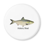 Hickory Shad Refrigerator Magnets