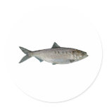 Hickory Shad Watercolor Round Stickers