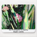 Hidden Camelia mousepads