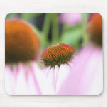 Hidden Cone Flower mousepads