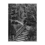 Hidden Garden Stairway Postcard