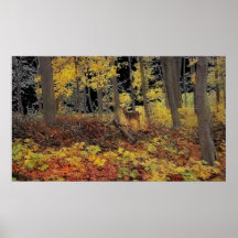 Hidden , poster