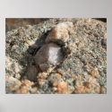 Hidden Quartz posters