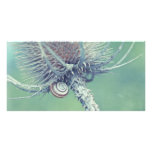 Hidden Shell Photo Greeting Card