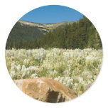 Hidden Valley stickers