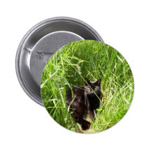 Hide and Seek Button