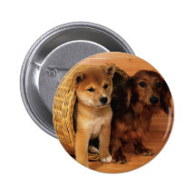 Hide and Seek Pin