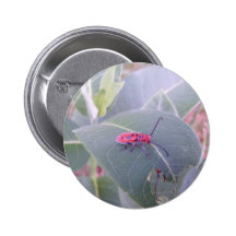 Hide and Seek Pinback Button