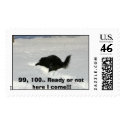 Hide and seek postage