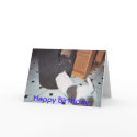 Hide from your birthday cards