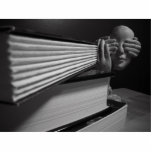 Hide photo sculptures