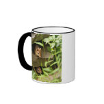 Hide & Seek Baby Chipmunk Siblings Coffee Mug