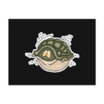 hiding in shell in turtle postcards