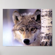 Hiding Poster