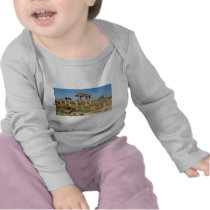 Hierapolis became a healing centre in Roman times Tshirt