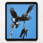 High Five - Baudin's Cockatoo Mouse Pad mousepads