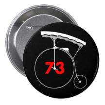High-Flying 73 Pin
