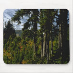 High Mountain Trees Mouse Pads