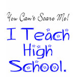 High School Teacher Tee t-shirts