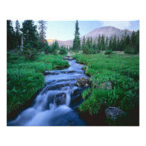 HIGH UINTAS WILDERNESS, UTAH. Stillwater Fork
