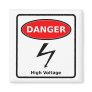 High Voltage Magnet