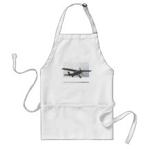 High Wing Aircraft Apron
