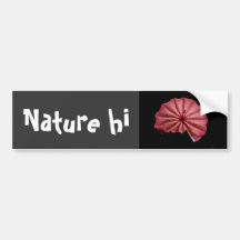 higher understanding bumper sticker