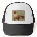 Highland Cattle 9Y316D-017 hats