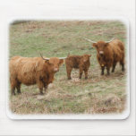 Highland Cattle 9Y316D-030 mousepads