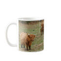 Highland Cattle 9Y316D-051 mugs