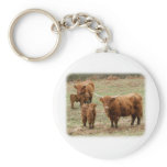 Highland Cattle 9Y316D-055 keychains