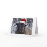 Highland Cattle Christmas Card