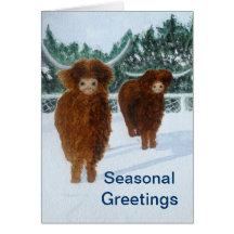Highland Cattle in Winter Cards