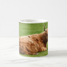 Highland Cattle Mugs
