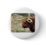 Highland Cow 9R007D-009 buttons