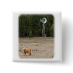 Highland Cow 9Y345D-041 buttons