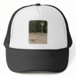 Highland Cow 9Y345D-041 hats