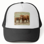 Highland Cow and calf 9Y316D-045 hats